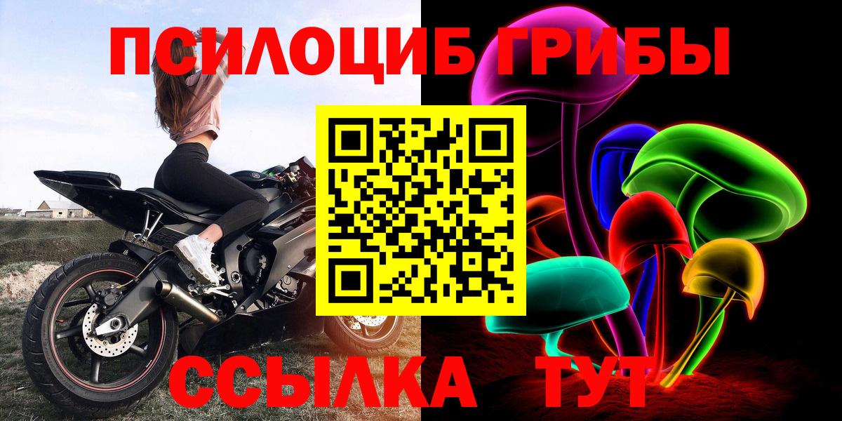 Галлюциногенные грибы Cubensis Всеволожск