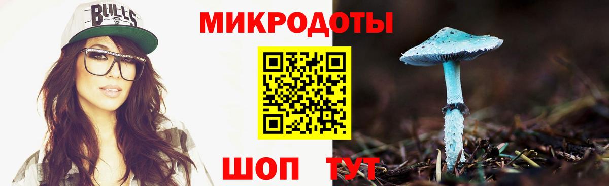 Галлюциногенные грибы Psilocybine cubensis  Вход с VPN  Всеволожск 